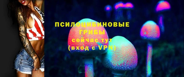 ALPHA PVP Костерёво