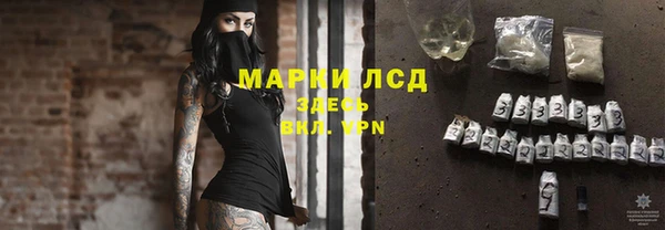 стафф Коряжма