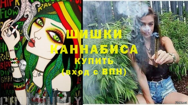 стафф Коряжма