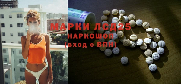 стафф Коряжма