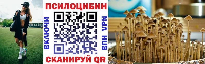Купить где  Туймазы  Галлюциногенные грибы Magic Shrooms 